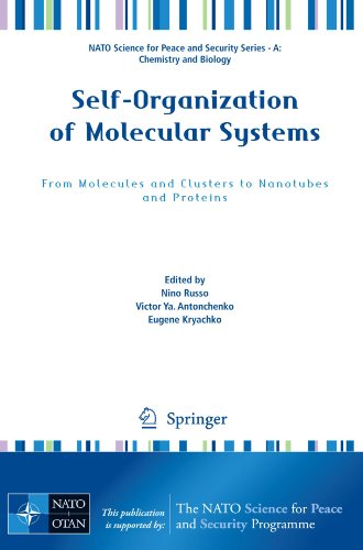 Selforganization Of Molecular Systems Russo N Antonchenko Vy