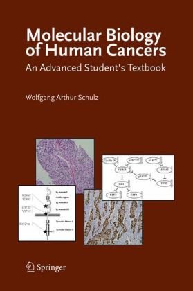 Molecular Biology Of Human Cancers An Advanced Students Textbook Schulz Wa