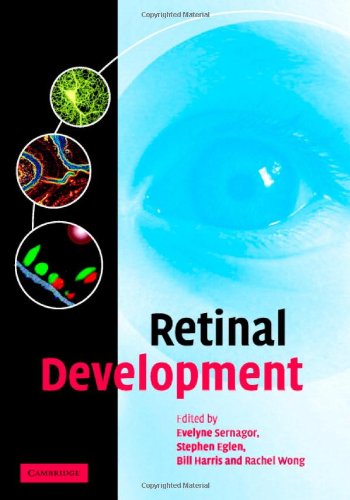 Retinal Development Sernagor E Et Al Eds