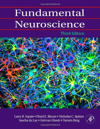 Fundamental Neuroscience 3ed Squire Lr Et Al Eds