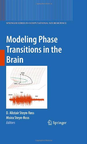 Modeling Phase Transitions In The Brain 1st Edition Da Steynross