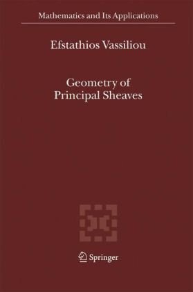 Geometry Of Principal Sheaves Vassiliou E