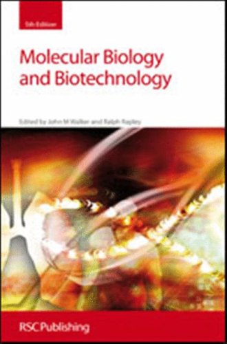 Molecular Biology And Biotechnology 5ed Walker Jm Rapley R Eds