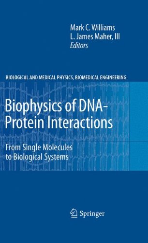 Biophysics Of Dnaprotein Interactions From Single Molecules To Biological Systems 1st Edition Mark C Williams