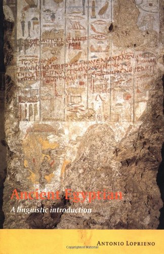 Hieroglyphs A Very Short Introduction Wilson P