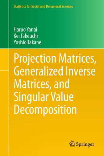 Projection Matrices Generalized Inverse Matrices And Singular Value Decomposition 1st Edition Haruo Yanai
