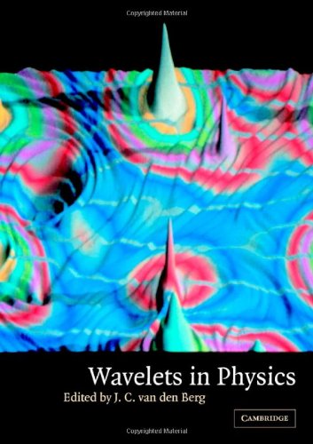 Wavelets In Physics Van Den Berg Jc Ed