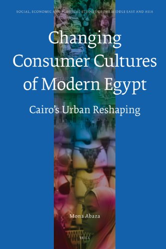 The Changing Consumer Cultures Of Modern Egypt Abaza M