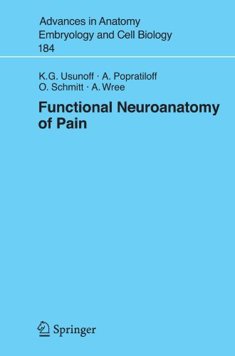Functional Neuroanatomy Of Pain 1st Edition Kg Usunoff A Popratiloff