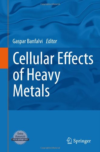 Cellular Effects Of Heavy Metals 1st Edition Gspr Bnfalvi Auth