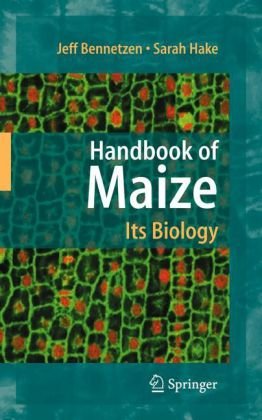 Handbook Of Maize Its Biology 1st Edition Dave Jackson Auth