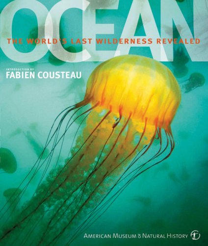 Ocean American Museum Of Natural History Reprint Robert Dinwiddie