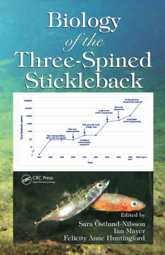 Biology Of The Threespined Stickleback Marine Biology Sara Ostlundnilsson