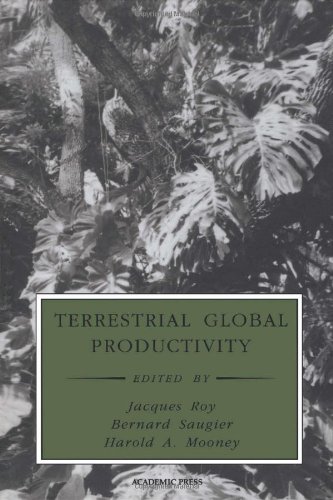Terrestrial Global Productivity Physiological Ecology 1st Jacques Roy