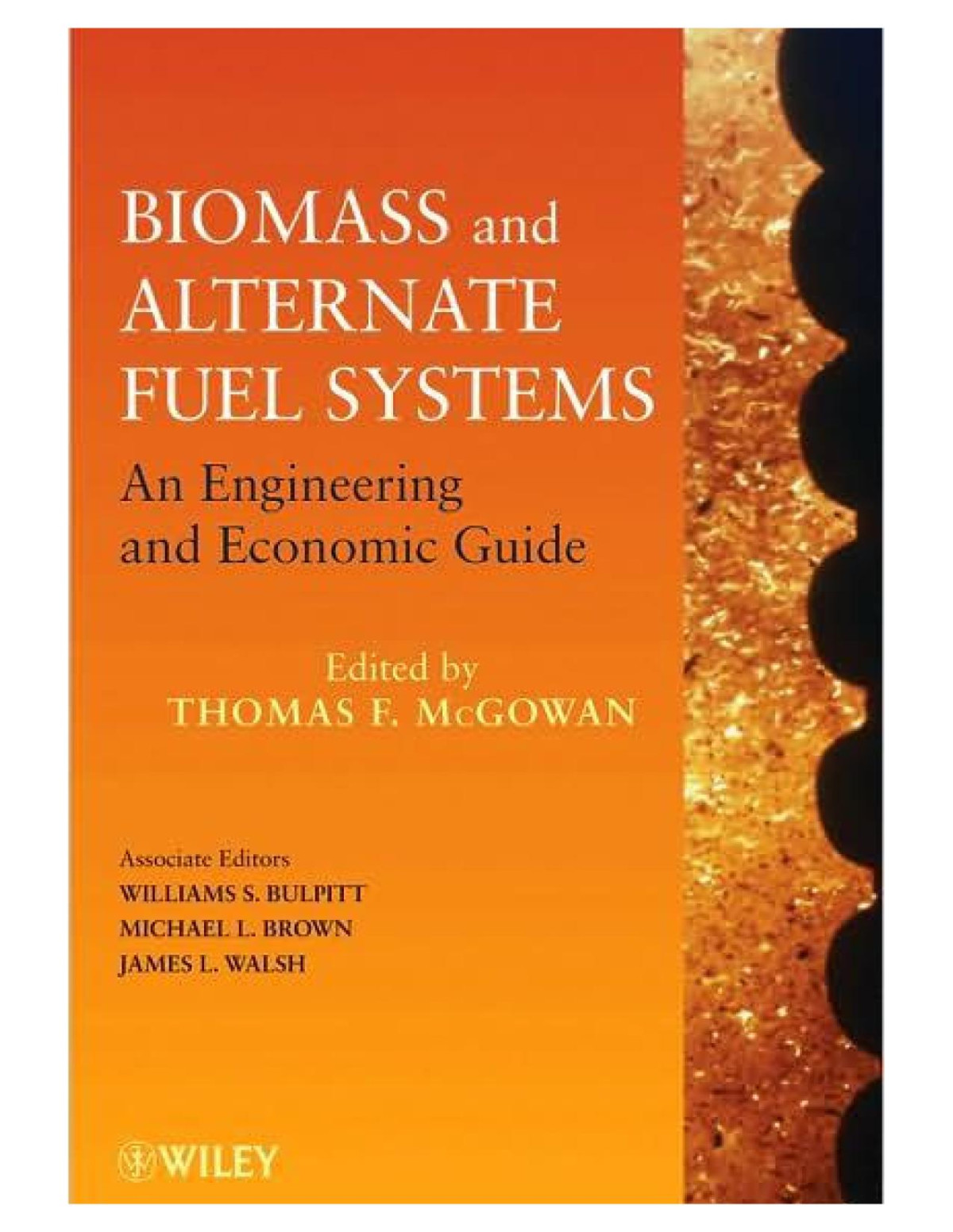 Biomass And Alternate Fuel Systems An Engineering And Economic Guide 1st Edition Thomas F Mcgowan