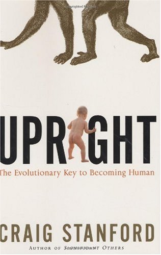 Upright The Evolutionary Key To Becoming Human Craig Stanford