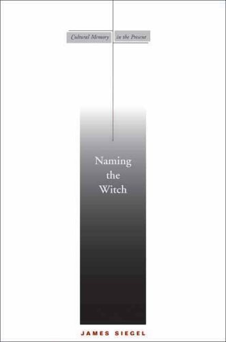 Naming The Witch 1st Edition James Siegel