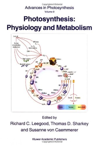 Photosynthesis Physiology And Metabolism 1st Edition Richard C Leegood