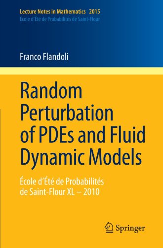 Random Perturbation Of Pdes And Fluid Dynamic Models Cole Dt De Probabilits De Saintflour Xl 2010 1st Edition Franco Flandoli Auth