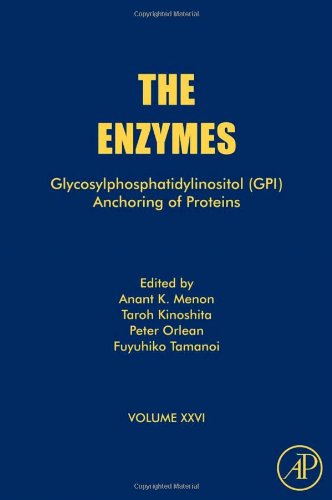 Glycosylphosphatidylinositol Gpi Anchoring Of Proteins 1st Edition Anant K Menon