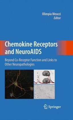 Chemokine Receptors And Neuroaids Beyond Coreceptor Function And Links To Other Neuropathologies 1st Edition Olimpia Meucci Auth