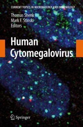 Human Cytomegalovirus 1st Edition E Murphy Thomas E Shenk Auth