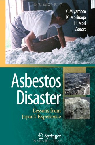 Asbestos Disaster Lessons From Japans Experience 1st Edition Hiroyuki Mori Auth
