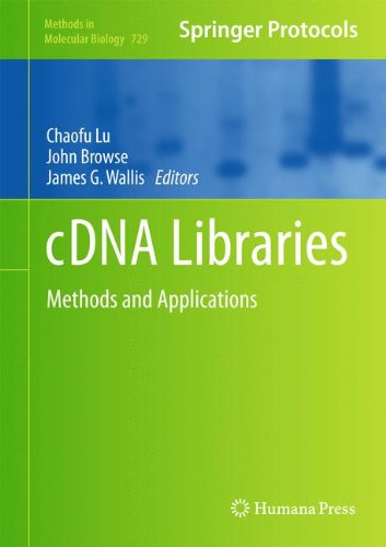 Cdna Libraries Methods And Applications 1st Edition Hiroyuki Takahara