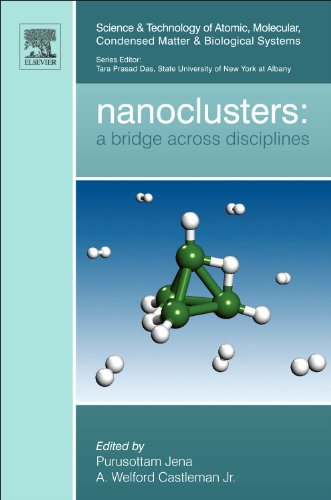 Nanoclusters Volume 1 A Bridge Across Disciplines Science And Technology Of Atomic Molecular Condensed Matter Biological Systems 1st Edition Purusottam Jena