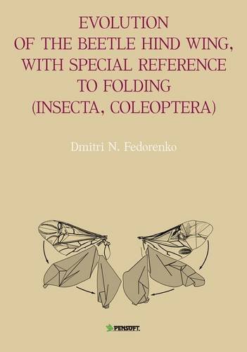 Evolution Of The Beetle Hind Wing With Special Reference To Folding Insecta Coleoptera Dmitri N Fedorenko