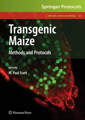 Transgenic Maize Methods And Protocols 1st Edition Dong Liu Auth