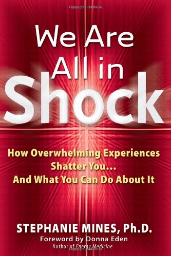 We Are All In Shock How Overwhelming Experiences Shatter Youand What You Can Do About It Stephanie Mines Phd