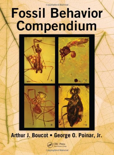 Fossil Behavior Compendium 1st Edition Arthur J Boucot George O Poinar Jr