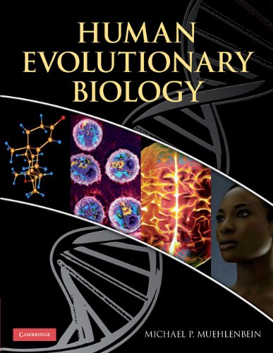 Human Evolutionary Biology 1st Edition Michael P Muehlenbein