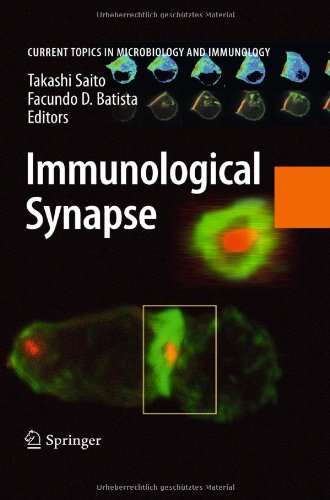 Immunological Synapse 1st Edition Michael L Dustin Auth Takashi Saito