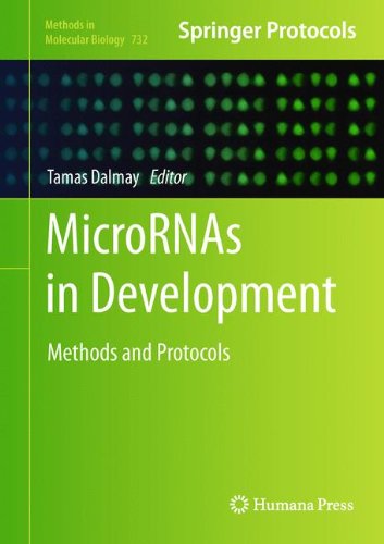 Micrornas In Development Methods And Protocols 1st Edition Dylan Sweetman Auth