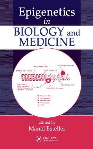 Epigenetics In Biology And Medicine 1st Edition Manel Esteller