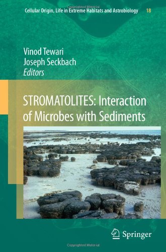 Stromatolites Interaction Of Microbes With Sediments 1st Edition William Sallun Filho