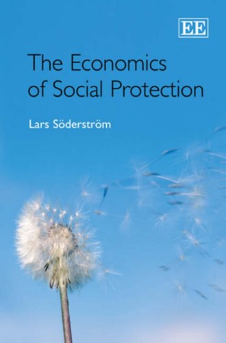 The Economics Of Social Protection Lars Soderstrom