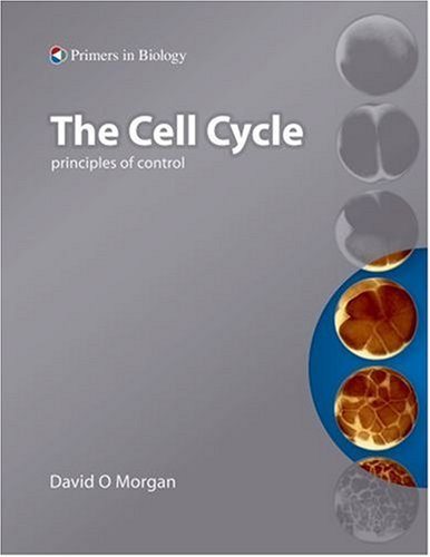 The Cell Cycle Principles Of Control Primers In Biology David Owen Morgan