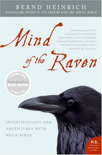 Mind Of The Raven Investigations And Adventures With Wolfbirds Bernd Heinrich
