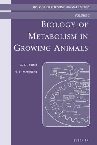 Biology Of Metabolism In Growing Animals 1st Edition Dg Burrin And Hj Mersmann Eds