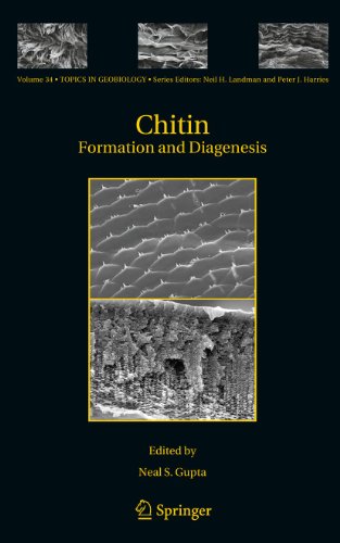 Chitin Formation And Diagenesis Topics In Geobiology 1st Edition Neal S Gupta