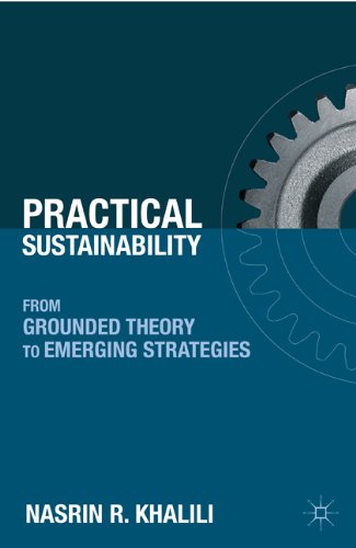 Practical Sustainability From Grounded Theory To Emerging Strategies 1st Edition Nasrin R Khalili