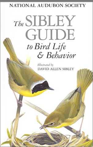 The Sibley Guide To Bird Life Behavior 1st Edition David Allen Sibley