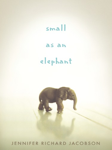 Small As An Elephant Jennifer Richard Jacobson