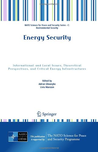 Energy Security International And Local Issues Theoretical Perspectives And Critical Energy Infrastructures 1st Edition Adrian Gheorghe