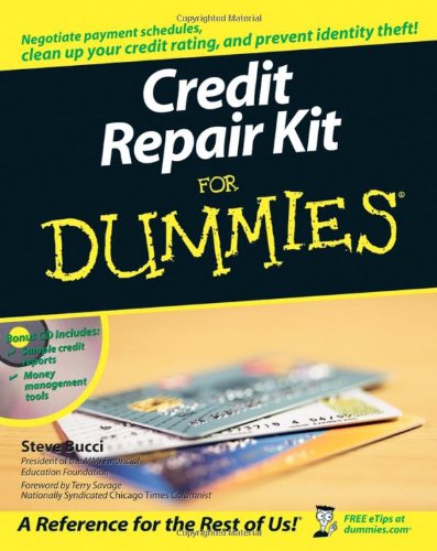 Credit Repair Kit For Dummies Stephen R Bucci