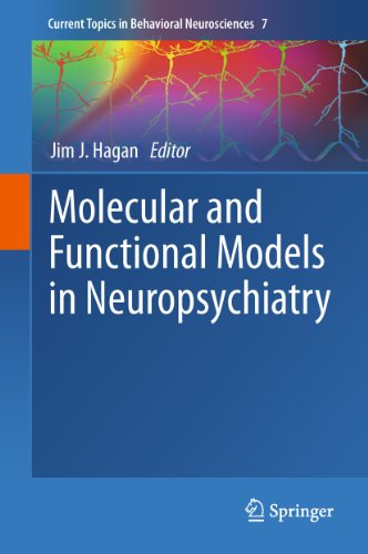 Molecular And Functional Models In Neuropsychiatry 1st Edition Yoichi Gondo