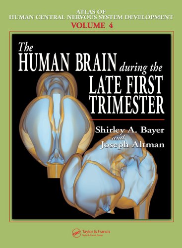 The Human Brain During The Late First Trimester Atlas Of Human Central Nervous System Development Volume 4 1st Edition Shirley A Bayer